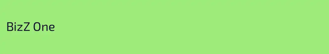 BizZ One